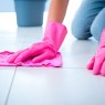 Home Cleaning Tips Manual