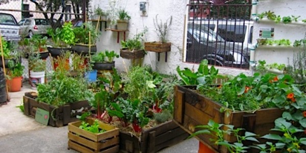 Architecture Urban Farm Organic Garden Ideas