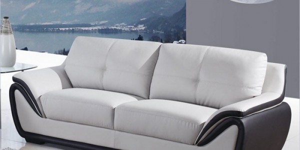 Decoration Room With Tone Leather Sofa