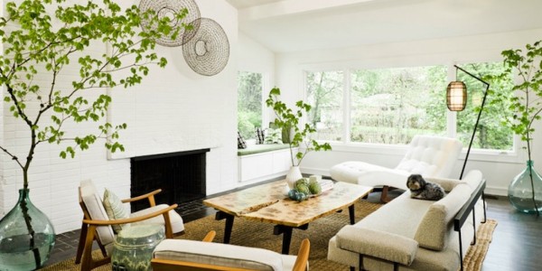 Interior Ideas Simple Interior Plants