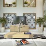 living-room-design-green-plants-design-ideas