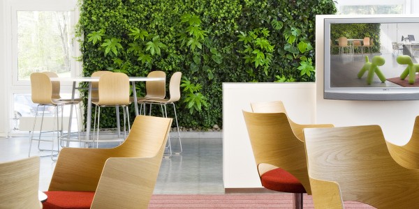 Modern Greenery Interior House Garden Design Ideas