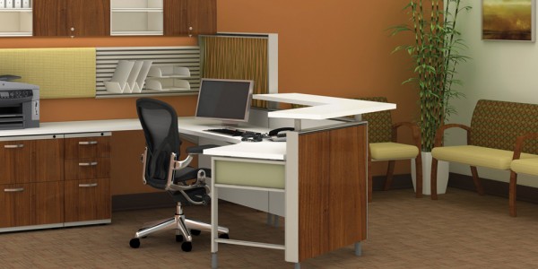 Decoration Receptionis Chairs