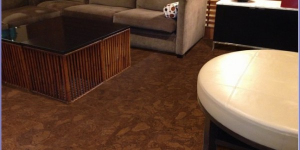 Interior Pros And Cons Of Cork Flooring Livingroom